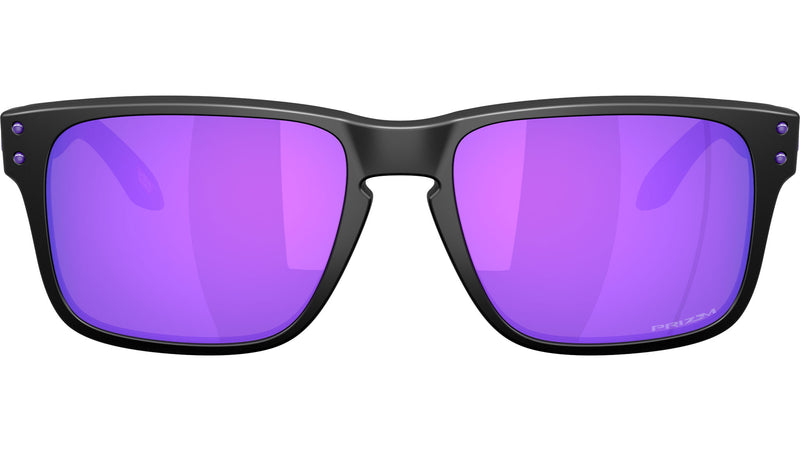 Holbrook S OO9509 06