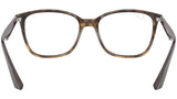 RB7066 shiny havana