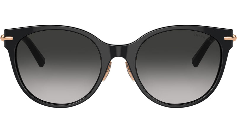 TF4223D 80013C Black