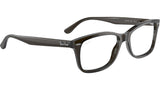 RB5428 Optics 8299