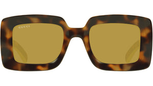 GG1718S 002
