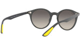 RB4296M F60811 matte grey
