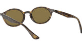 RB4315 710/73 tortoise