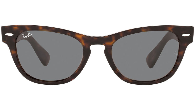 Laramie RB2201 902/B1 tortoise