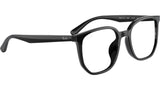 RB5411D Optics 2000