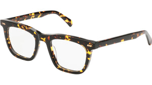 MAPI Tortoise