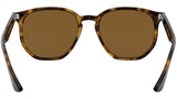 RB4306 710/83 light havana