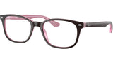 RB5375 Optics 2126