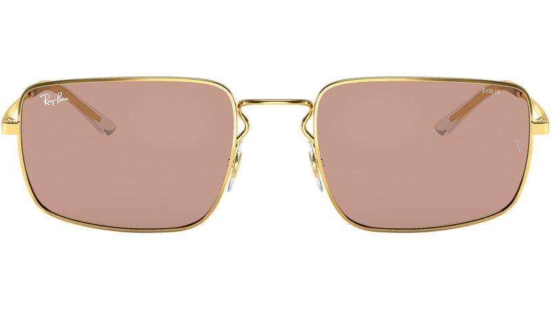 RB3669 001/Q4 arista