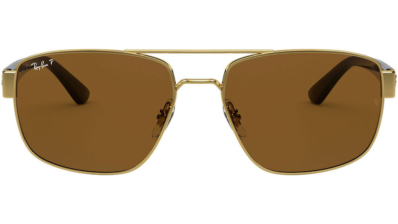 RB3663 brown polarized