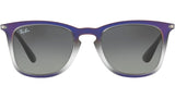 RB4221 622311 violet