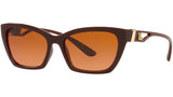 DG 6155 329078 brown