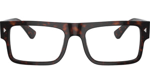 PR A01V 17N1O1 Tortoise