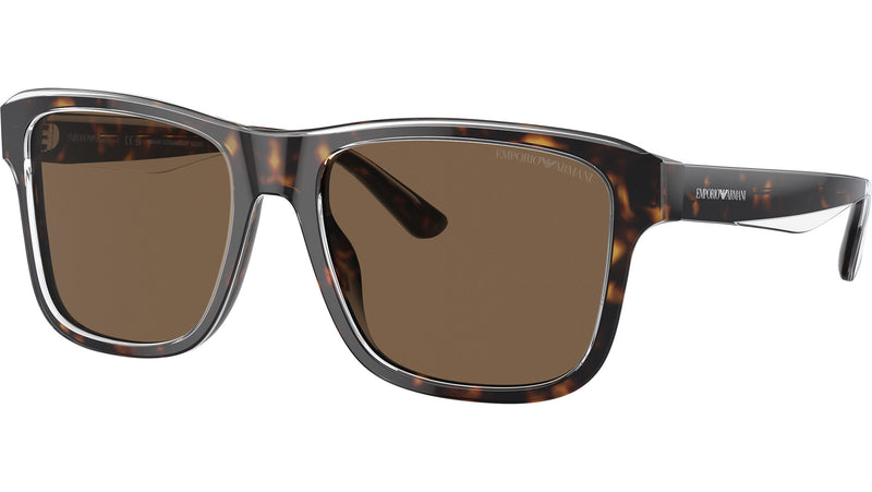 EA4208 605273 Tortoise