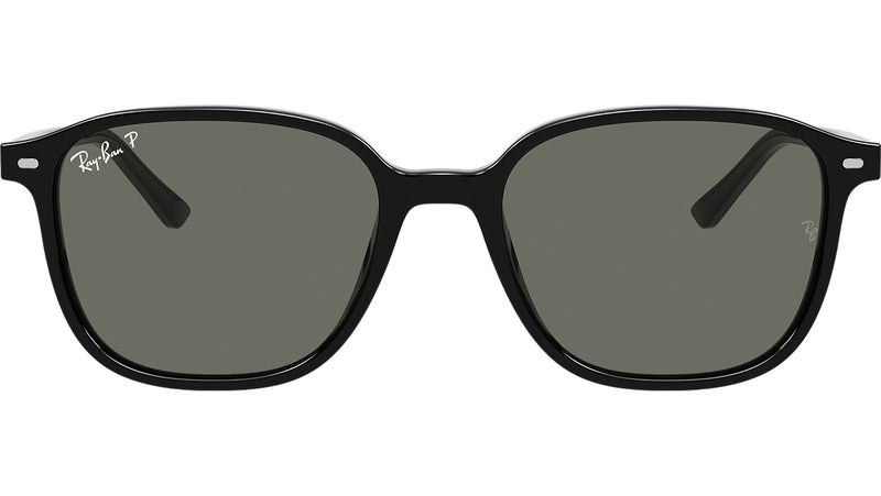 Leonard RB2193 black green polar