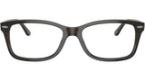 RB5428 Optics 8299