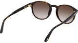 Dante FT0834 52J Dark Havana Roviex