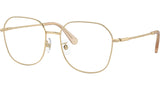 SK1009D 4013