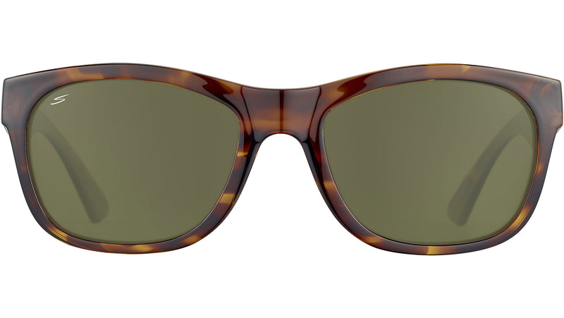 Chandler SS557 001 Tortoise