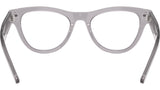 RB5510 Optics 2102