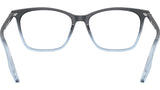 RB5422 Optics 8309