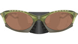 Plantaris OO9437 03