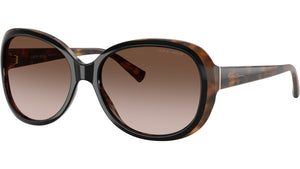 AR 8047 504913 Black