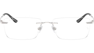 RB8781D Optics 1002