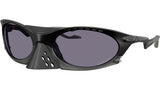 Plantaris OO9437 01