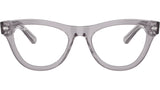 RB5510 Optics 2102