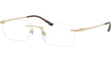 RB8781D Optics 1251