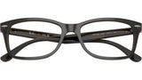 RB5428 Optics 8299
