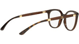 DG 5080 3185 tortoise