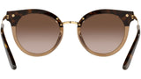 DG 4394 325613 tortoise