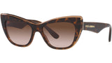DG 4417 325613 tortoise
