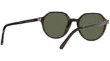 Thalia RB2195 902/31 havana