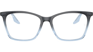 RB5422 Optics 8309