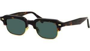 RAY Tortoise