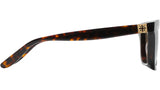 Gonzalo Havana