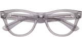 RB5510 Optics 2102