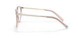 TF2209 8328 Nude Transparent