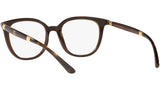 DG 5080 3185 tortoise