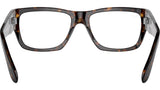 Nomad Wayfarer Optics RB5487 2012
