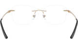RB8783D Optics 1248