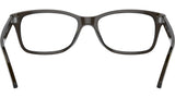 RB5428 Optics 8299