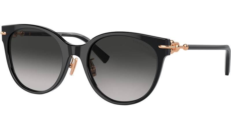 TF4223D 80013C Black