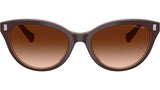 RA5326U 606574 Solid Brown Milky Brown
