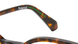 PLD D519 086