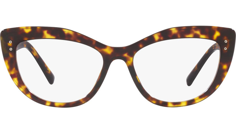 AR 7231 5026 Tortoise