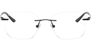 RB8783D Optics 1244